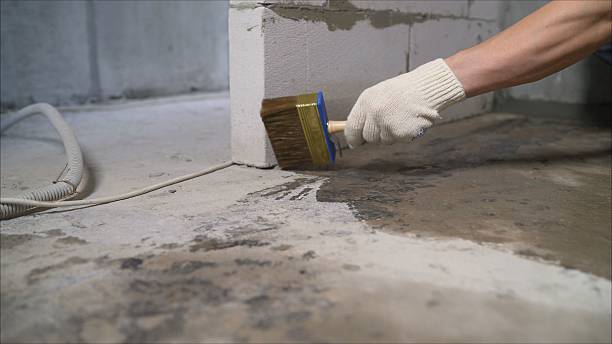 24/7 Emergency Interior Drainage System experts in Grosse Pointe, MI